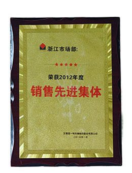   销售先进集体