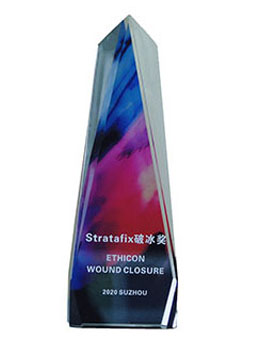   Stratafix破冰奖